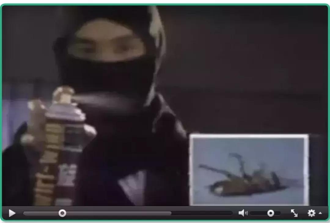 王子印度,王子印度尼西亚