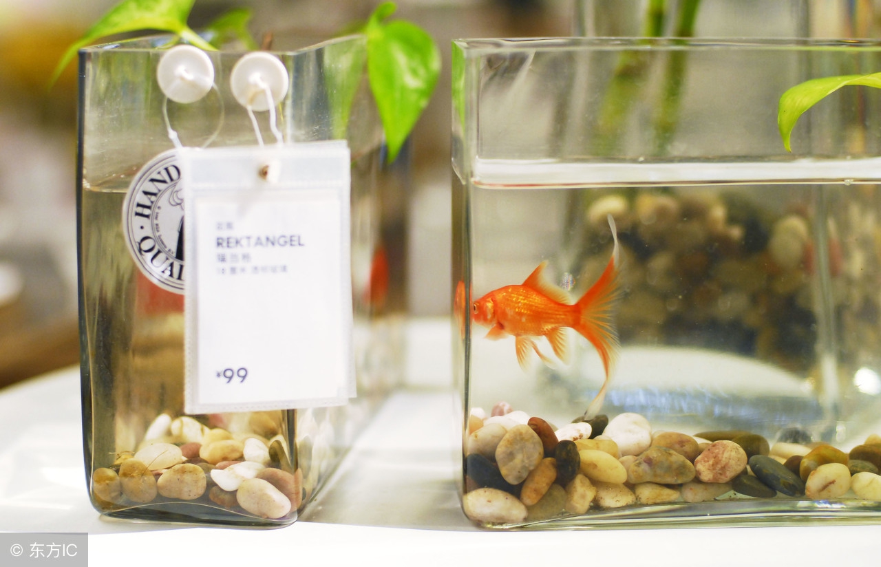 孙俪卖闲置物品在哪里卖,孙俪卖闲置的店是什么