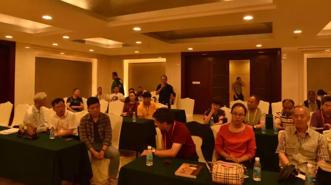 黄龙玉水草花亮点,顶级黄龙玉水草花