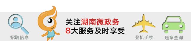 湖南乡镇区划调整改革意见,湖南省的10强县