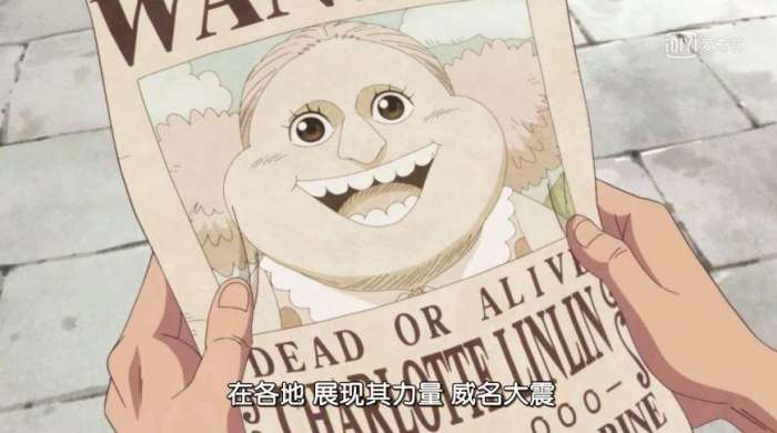 海贼王女性角色恶魔果实能力者,海贼王四个萝莉谁最强