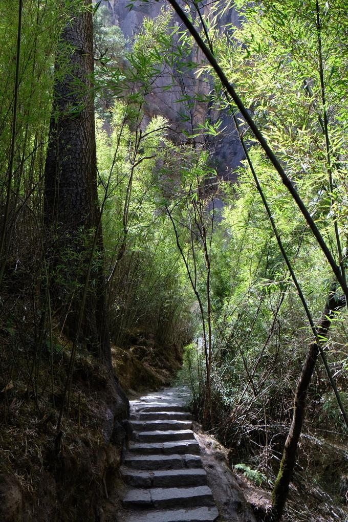 *藏西**，我历经十里桃花劫，只为寻心之所往
