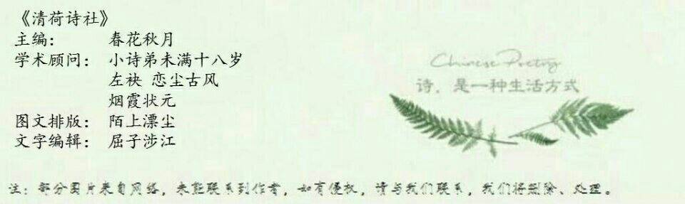 勤笔丽人篇·恋恋飞鱼《绝句》八首