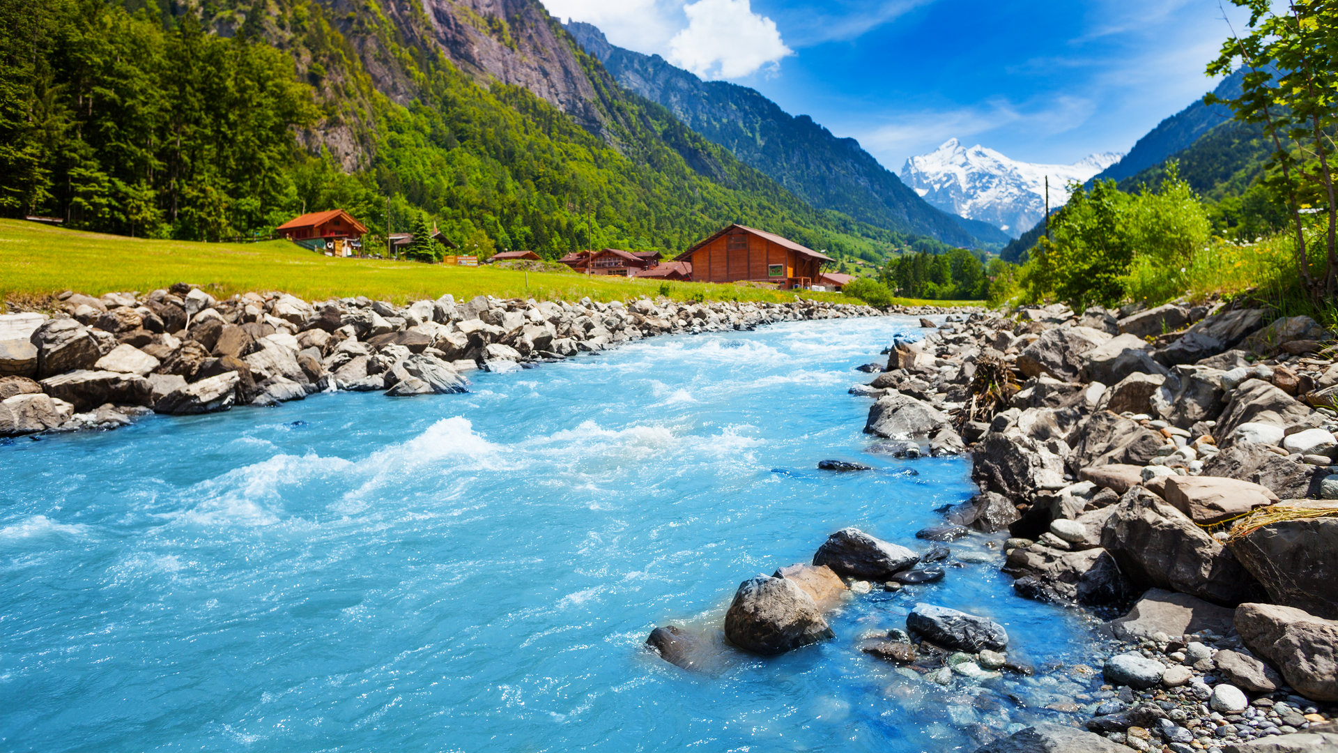 光头阿来小咖秀视频,光头阿来
