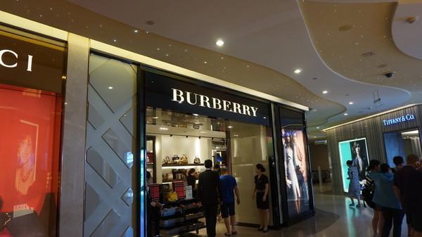 一个人的旅行由风决定,一个人的旅行头像