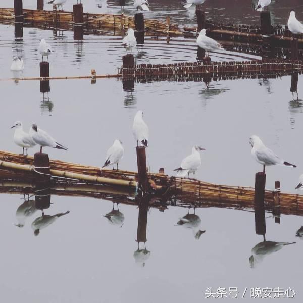 员工晨会分享正能量5分钟,晨会员工分享正能量一段话及感悟