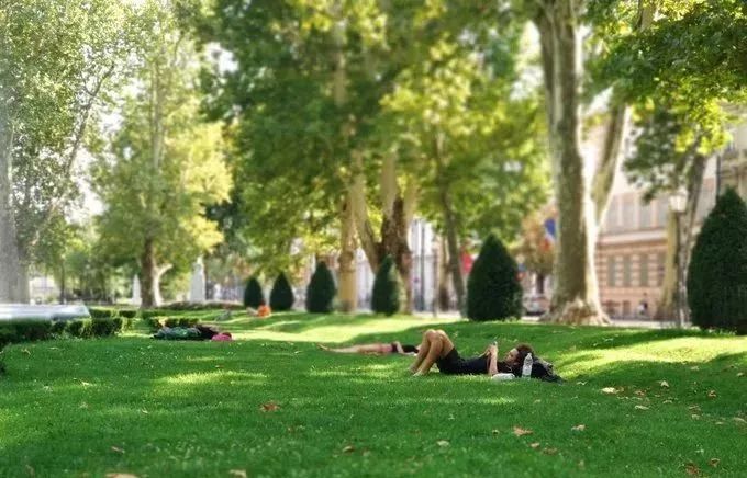 一切从梵高说起,一切从煎蛋说起