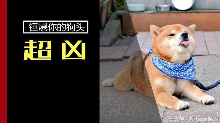 steam买到黑key会怎么样,steam买到黑key