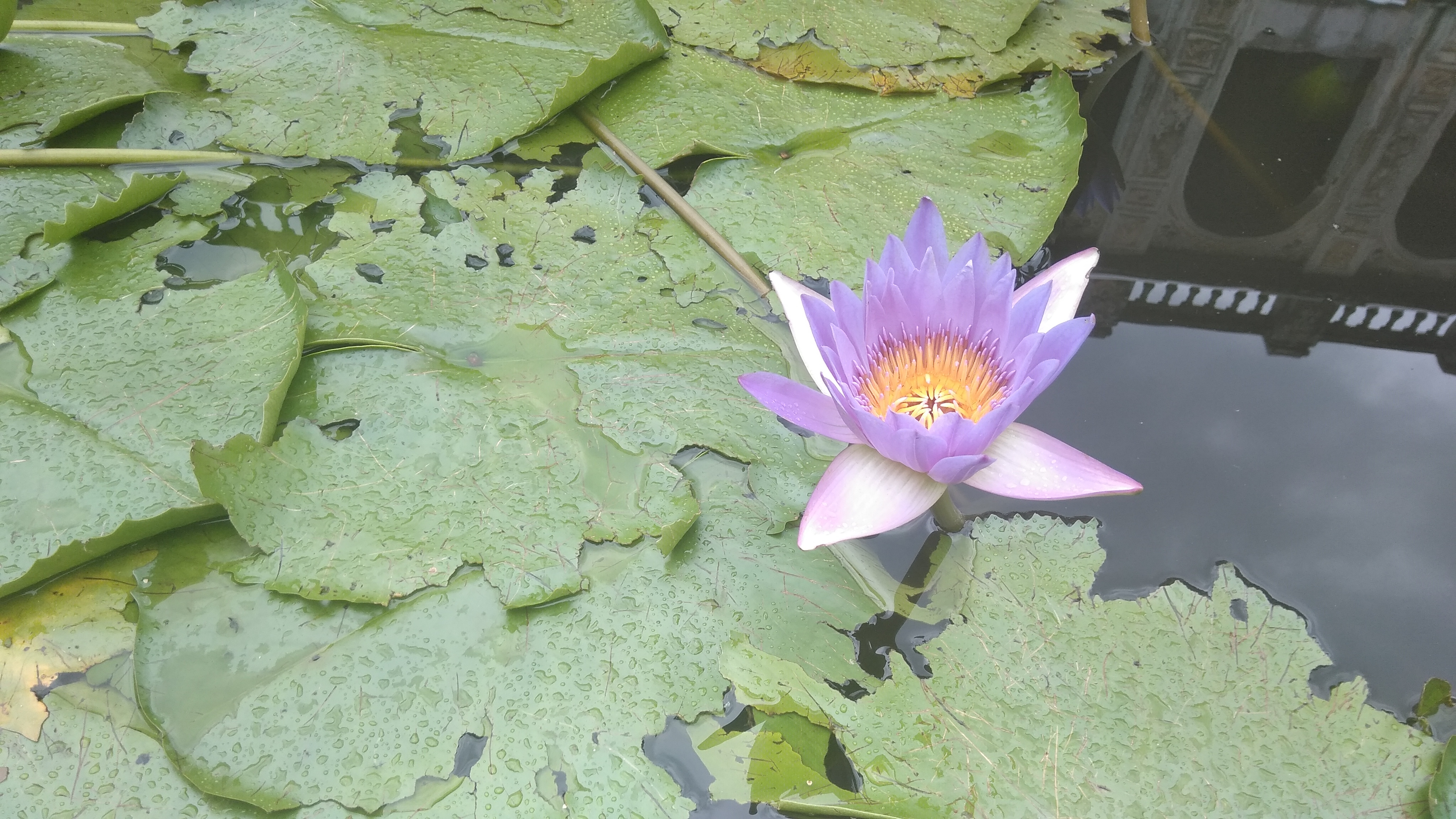 舞动吧少年街舞完整版,舞动吧少年电影简介