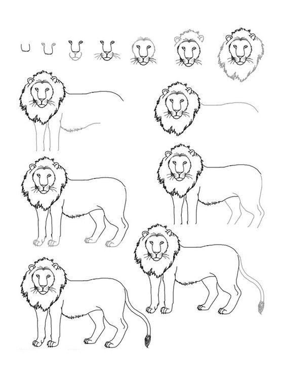 1000000个可爱动物简笔画,10000种超萌动物简笔画大全