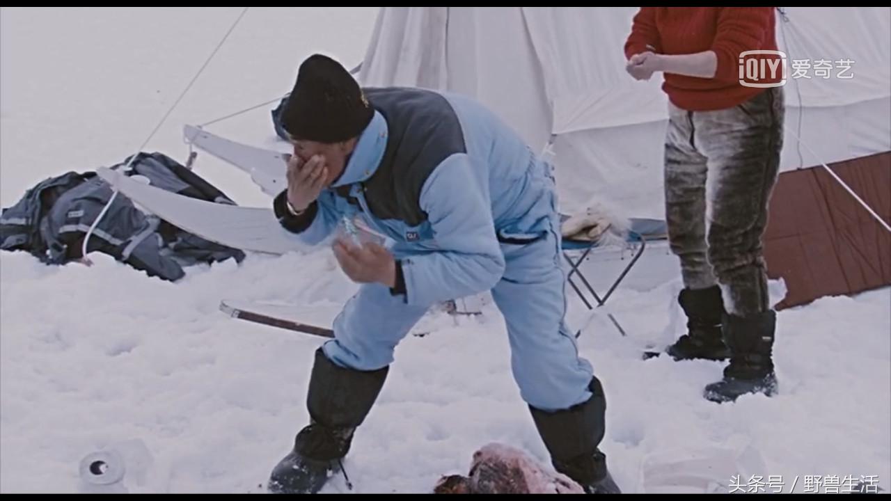 世界上最值得去的秘境,世界上南端的一处秘境