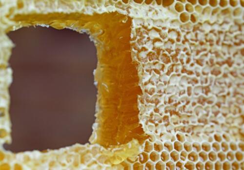 蜂皇浆和蜂王浆适用人群与禁忌,市面上蜂王浆的价格