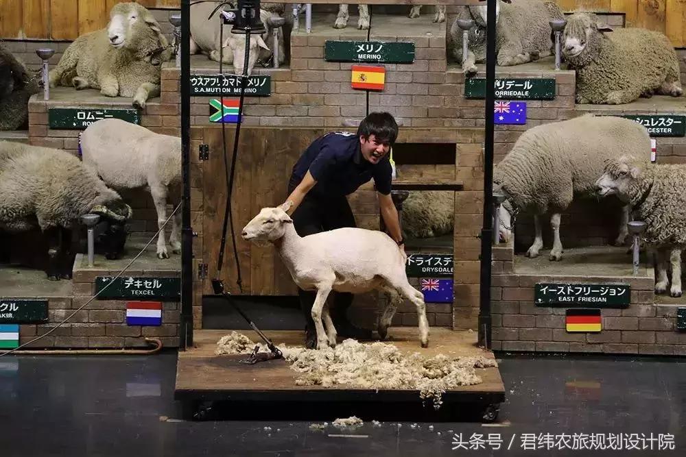 亲子牧场的标杆，看看这家年入2亿的母亲牧场是怎么做到的