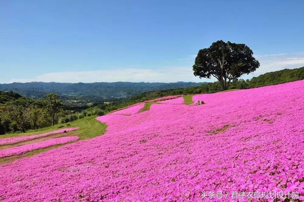 亲子牧场的标杆，看看这家年入2亿的母亲牧场是怎么做到的