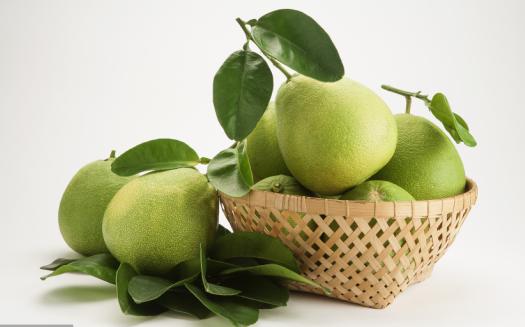 o型血防蚊的方法,o型血擦什么预防蚊子咬