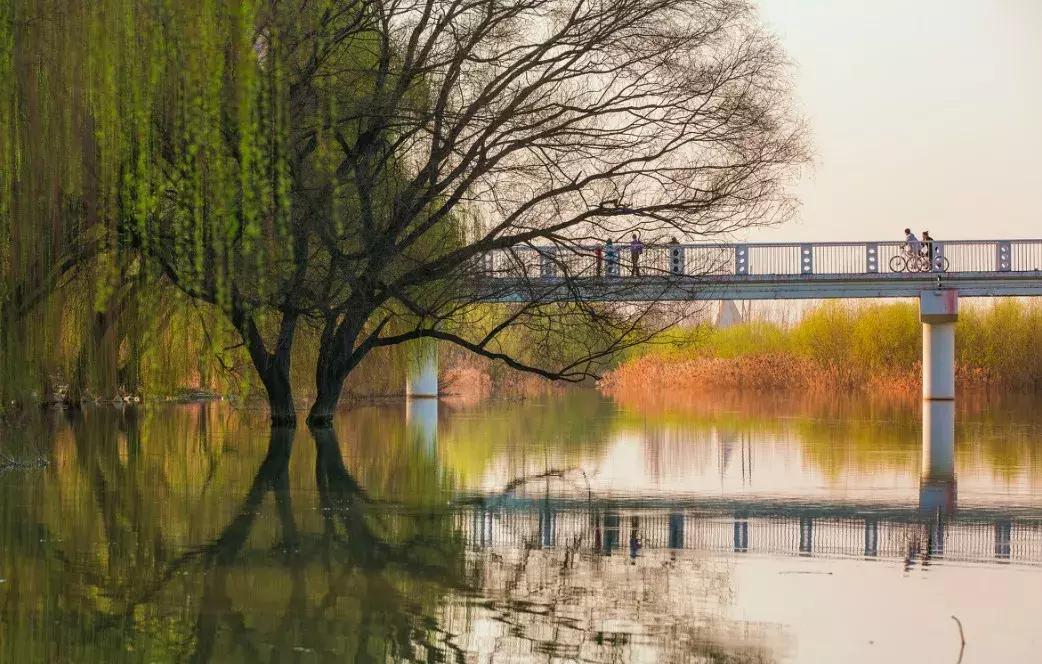 你眼前的西安，便是曾经的长安