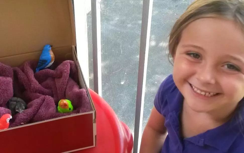 万物皆有灵救小鸟,万物皆有灵有人救了