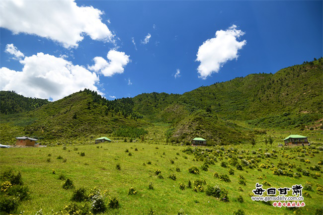 靠山“吃”风景“熊猫沟”村民端上乡村旅游“金饭碗”