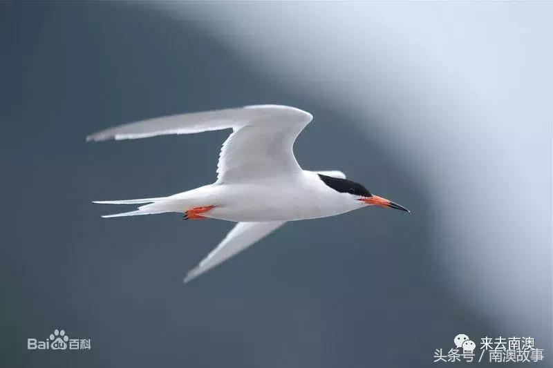 这座小岛究竟隐藏了多少秘密,一座鲜为人知的隐藏小岛