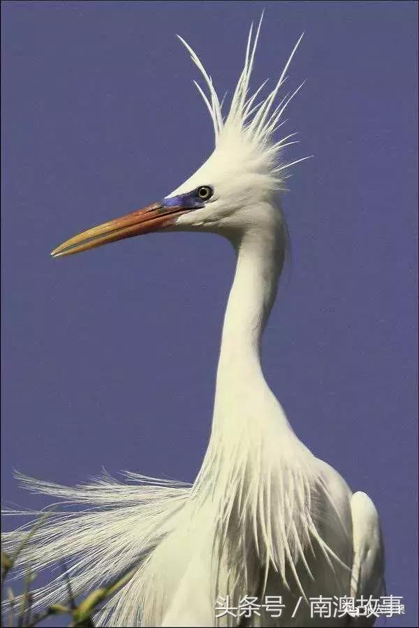 这座小岛究竟隐藏了多少秘密,一座鲜为人知的隐藏小岛