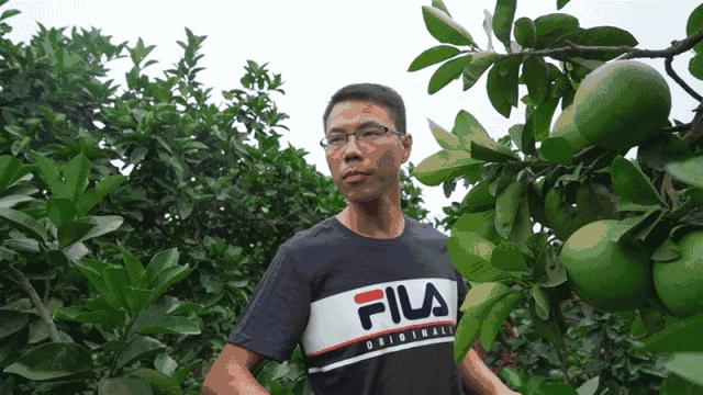 成都蓉城网红球队,新都出名的网红