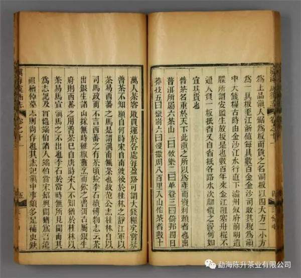 陈升号普洱生茶怎么样,陈升号普洱茶升值潜力巨大