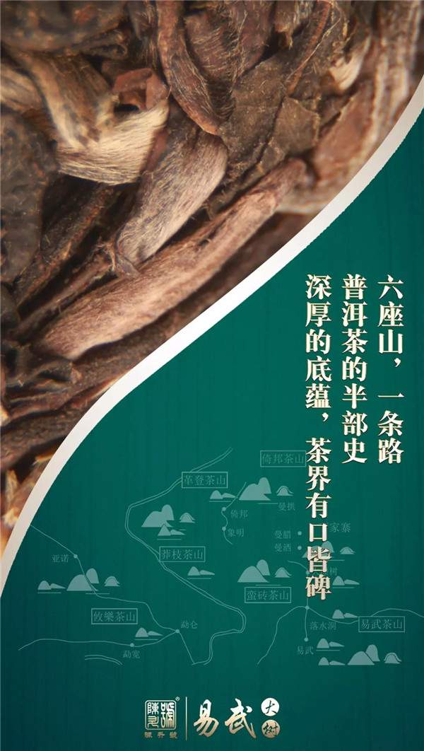 陈升号普洱生茶怎么样,陈升号普洱茶升值潜力巨大