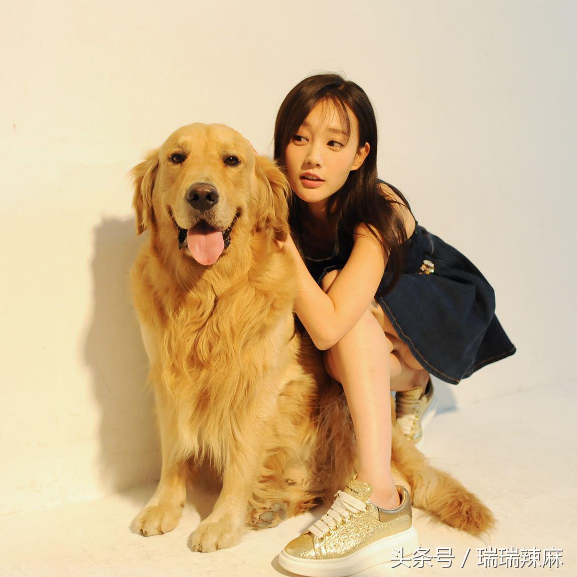 宠物狗皮肤病怎么护理好得快,宠物狗皮肤病种类图解视频