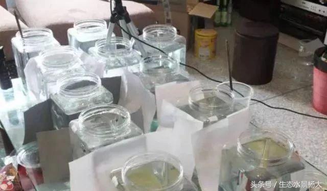 揭秘你不知道的江湖,你不知道的江湖