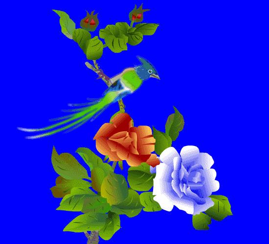 容易读错的字不带正确的读音,日常读错了的字的正确读音