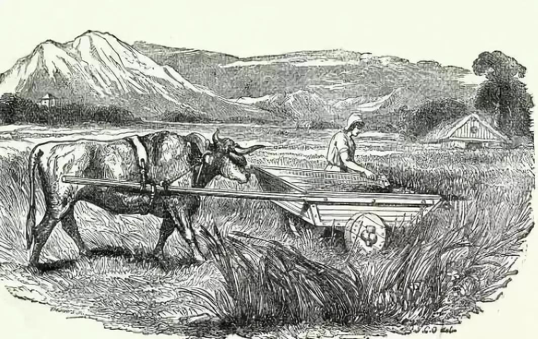 同样是高利贷：为何欧洲人用来发展资本主义明朝却永远做不到？