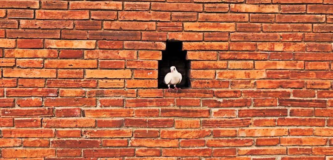 *江阳**潮人｜Oscar：走到哪儿都要做一个深刻的自己