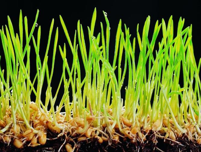 检查出hpv感染但是液基细胞学没事,检查发现感染hpv16怎么办