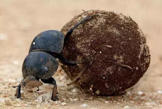 新车做底盘装甲有用吗,底盘装甲可以维持几年