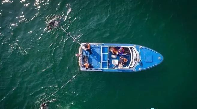 寻找生的希望，也和死神抗争！揭秘广州独有的水警“蛙人队”