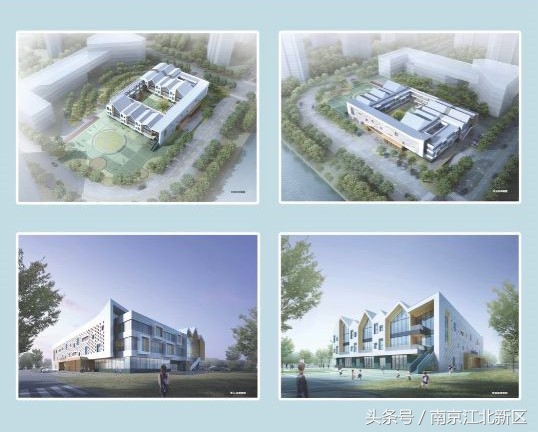 江北新区管理委员会罗群,江北新区生命健康产业发展办公室