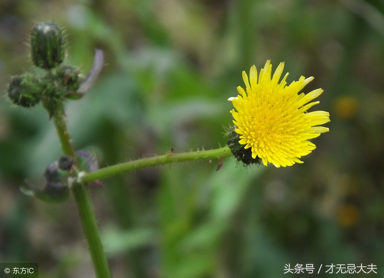 真实的故事！孩子，你太艰难了！妈疯了，爸走了！还有亲人吗？