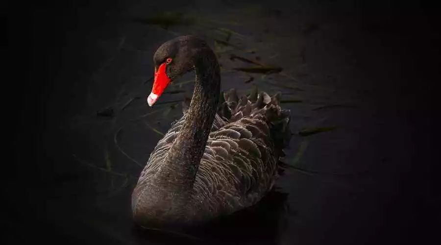 药监手中最锋利的一把刀：从狂犬病疫苗事件看飞行检查