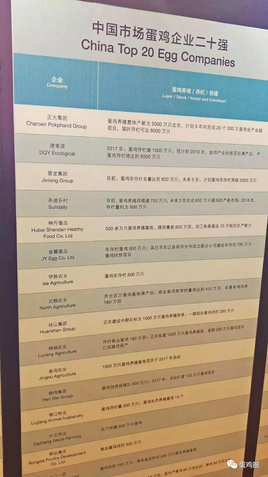 中国最大的蛋鸡场在什么地方,中国蛋鸡大型养鸡场