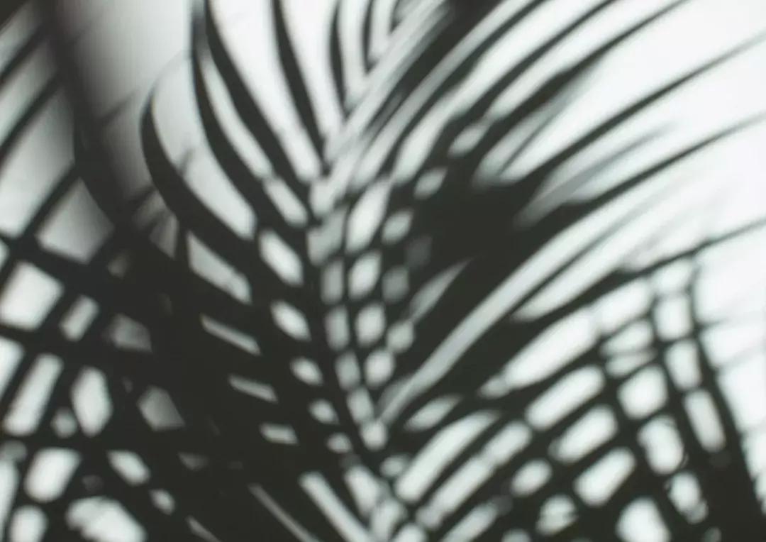 如何才能找到轻松又赚钱的工作,最轻松最赚钱的工作是什么