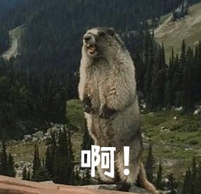 龙泉驿区华润云庭中签,龙泉驿区大面华润云庭配套