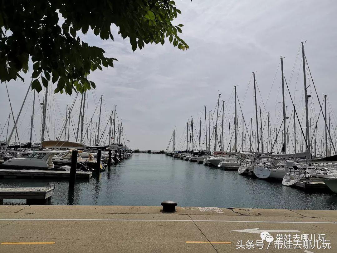 芝加哥清凉一夏,美国芝加哥初冬风景