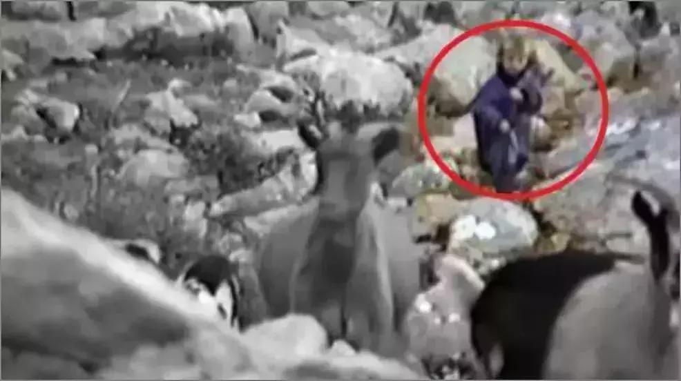 克罗地亚球迷赛后欢庆,克罗地亚首都球迷欢庆胜利