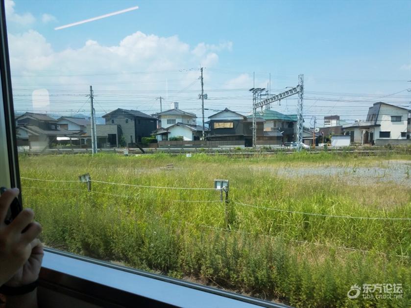 海洋量子号游轮旅游攻略,坐海洋量子号游轮旅游攻略