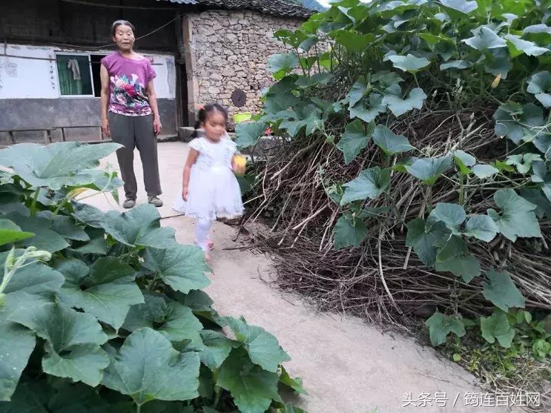 这个曾经身患“怪症”，命悬一线的小女孩，如今竟变成这样！