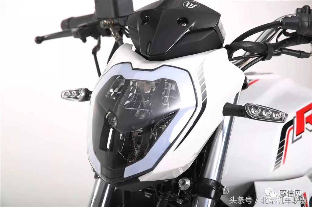 猛龙御龙钱江龙,钱江新御龙多少钱