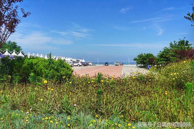 日照直播,日照房价