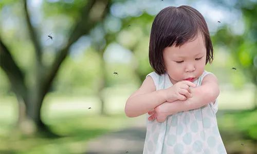 夏季必备止痒青草膏,宝宝止痒青草膏