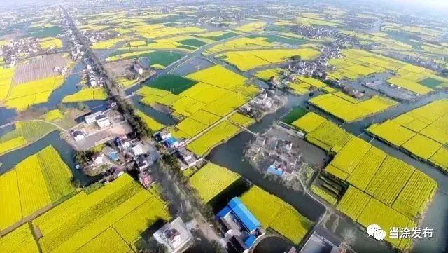 马鞍山最厉害的县,聚焦马鞍山