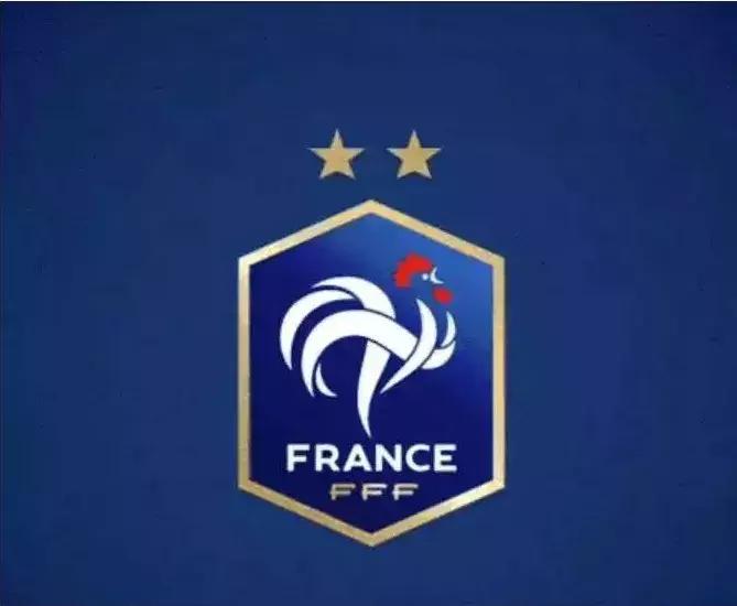 法国各足球队队标,法国国家足球队队徽